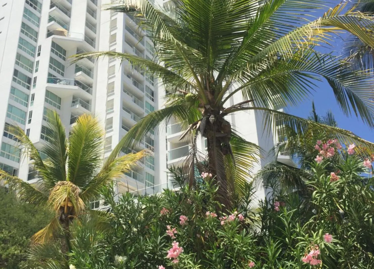 Areia Beach Paradaise Santa Marta 0*,